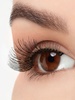 Ресницы накладные дневные узелковые Ardell Fashion Lash 117